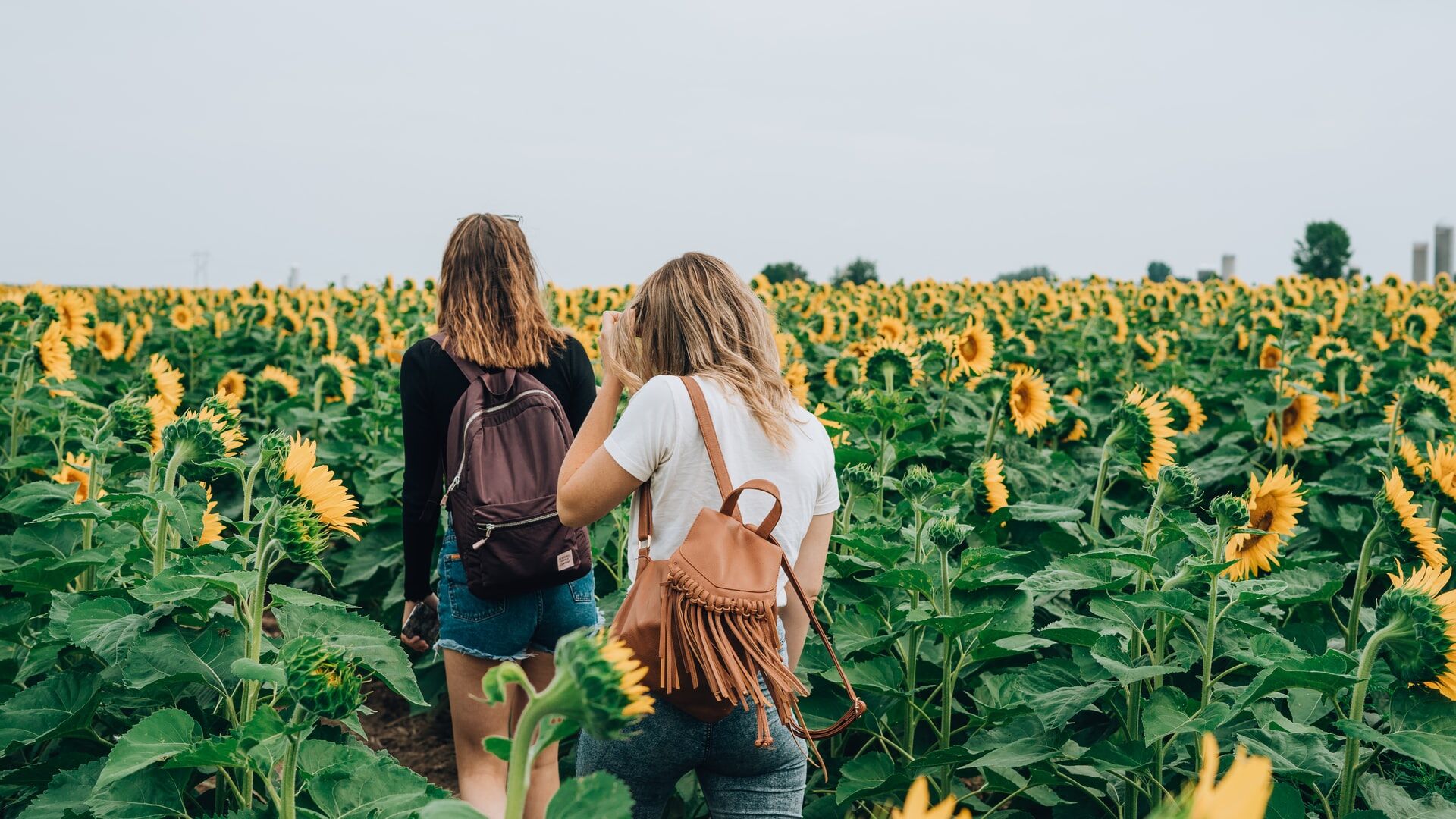 20 questions to ask your future college roommate